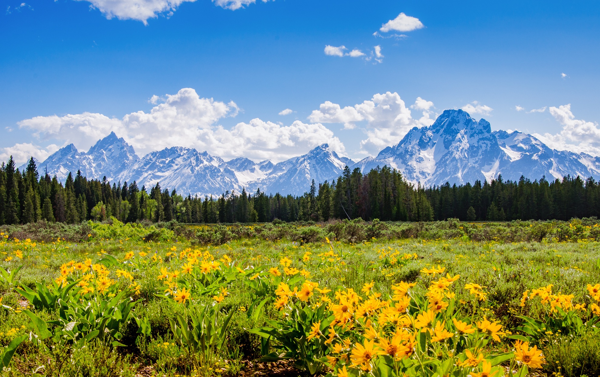 Featured image for “How to Sell a Business in Wyoming: What Business Owners Need to Know”
