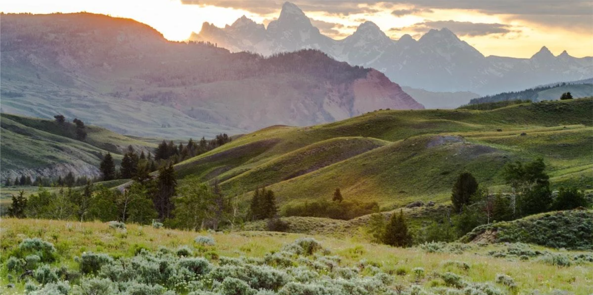 Featured image for “Wyoming Career Opportunities: The Path Nobody Told You About”